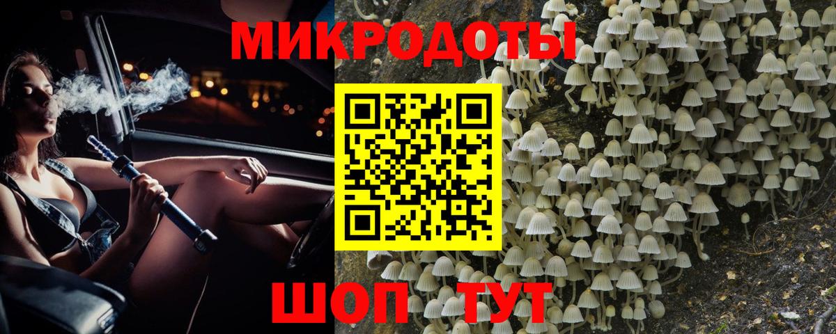 Псилоцибиновые грибы прущие грибы Электрогорск