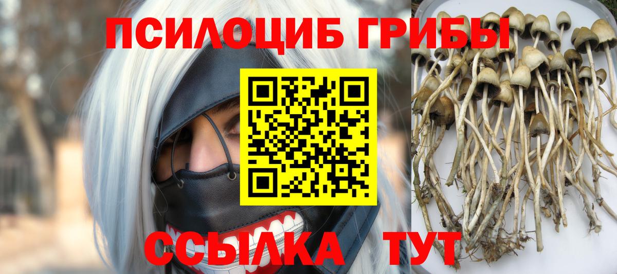 Псилоцибиновые грибы Cubensis  Вход с VPN  Электрогорск  Псилоцибиновые грибы Psilocybe 